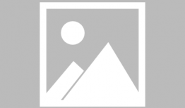 一半漫画,漫画中的情感世界